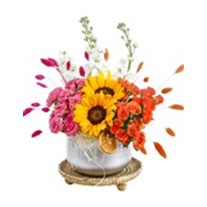 Two Colors Sunflowers