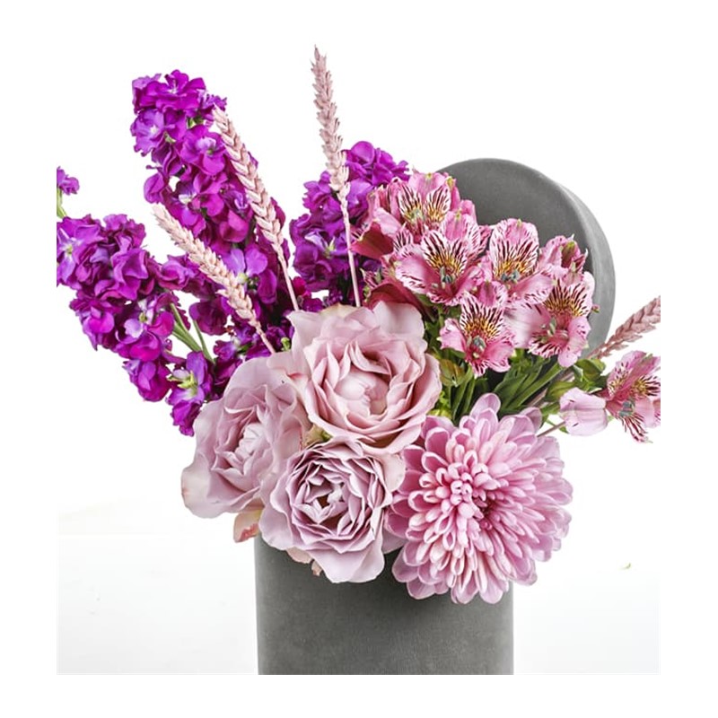 Pink Of Grey Box