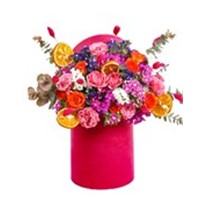 Colorful Of Pink