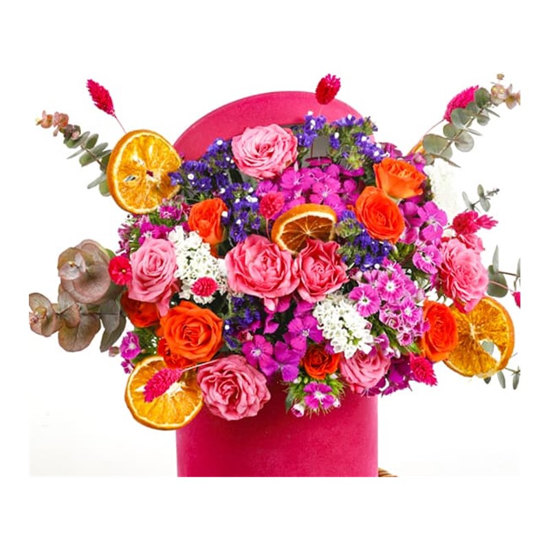 Colorful Of Pink