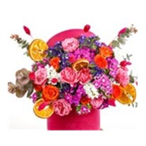 Colorful Of Pink