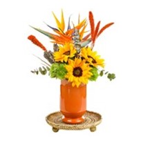 Sunflower Orange Vase