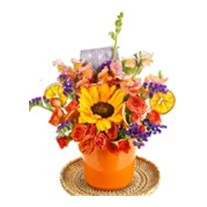 Sun Shine Of Orange
