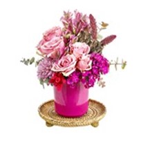 Pink Anastasia Shine