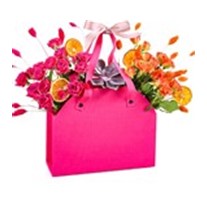 Double Rose Color Bag