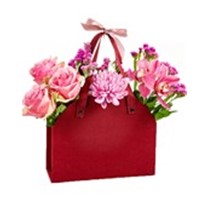 Burgundy Pink Effect