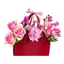 Burgundy Pink Effect