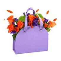 Orange Purple Bag