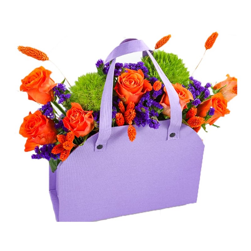 Orange Purple Bag
