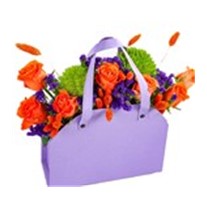 Orange Purple Bag