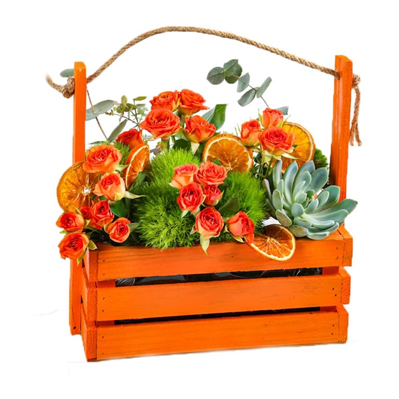 Orange Rose Garden
