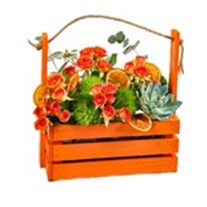 Orange Rose Garden