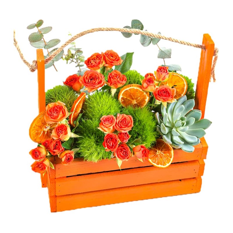 Orange Rose Garden