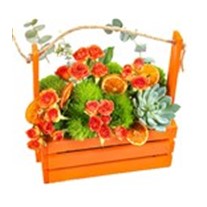 Orange Rose Garden