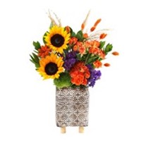 Purple And Orange Mix