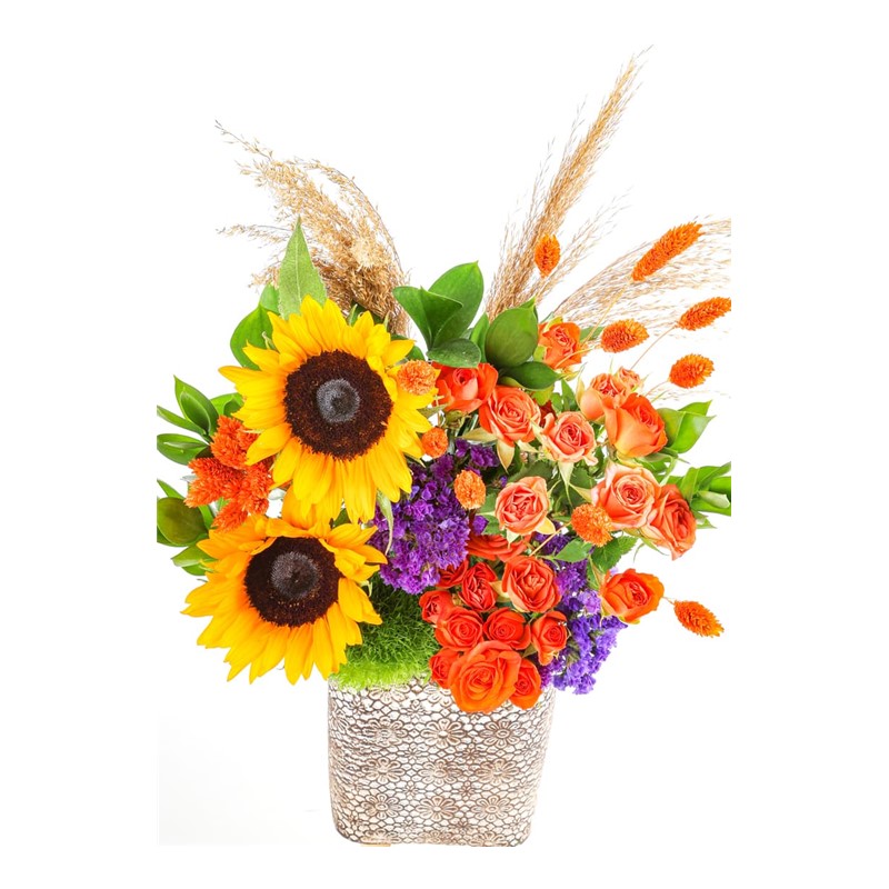 Purple And Orange Mix