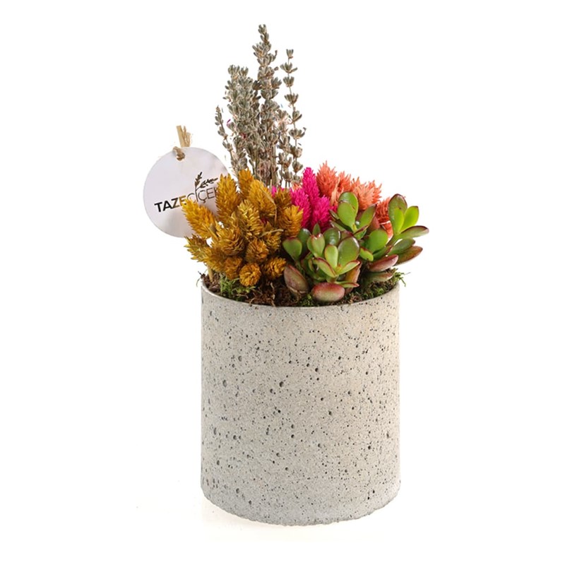 Coral Teraryum