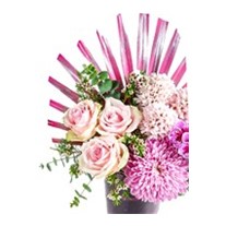 Scent Of Pink Hyacinth