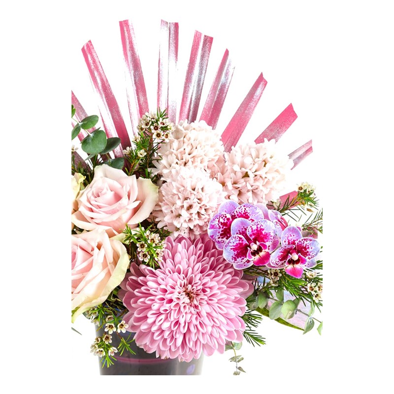 Scent Of Pink Hyacinth