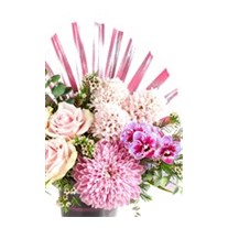 Scent Of Pink Hyacinth