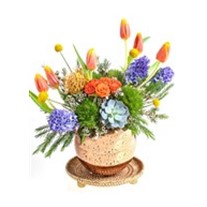 Purple Hyacinth Lovers
