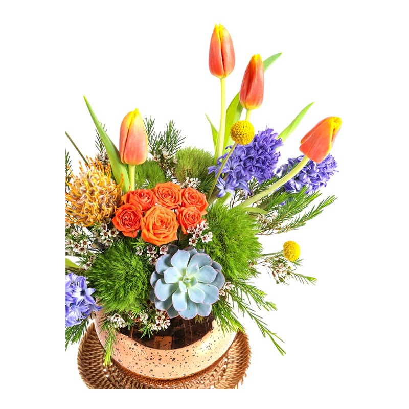 Purple Hyacinth Lovers