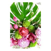 Monstera Of Purple Arrangement