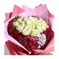 Pink Dream Güller