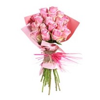 Premium Pink Roses