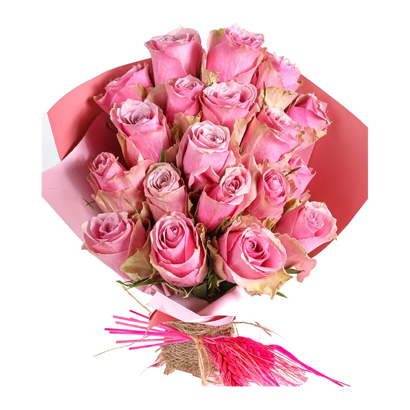 Premium Pink Roses