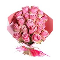 Premium Pink Roses