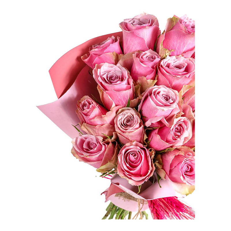 Premium Pink Roses