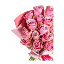 Premium Pink Roses