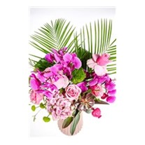 Luxury Look Of Pink