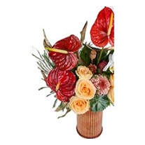Sweet Of Salmon Colors