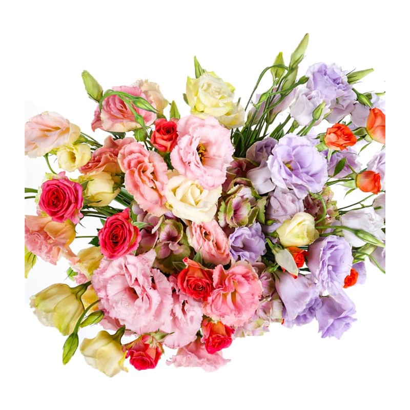 Lisianthus Lovers