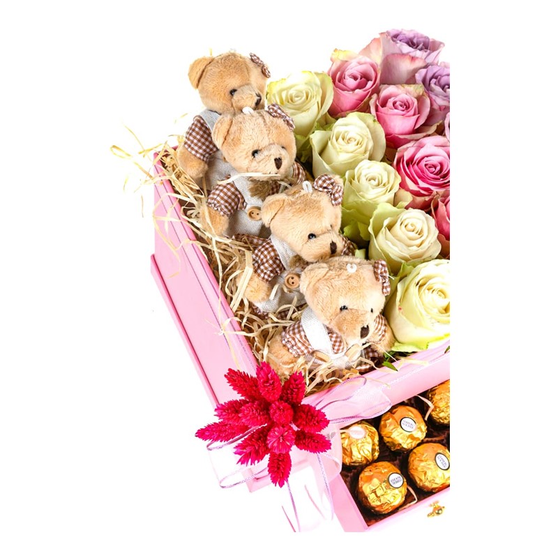 Teddy Bear Roses