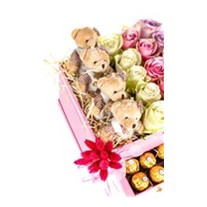 Teddy Bear Roses