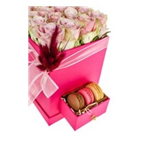 Pink Rose İn Makaron
