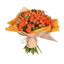 Peace Orange Güller
