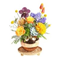 Elegance Of Orange Vase