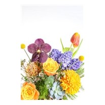 Elegance Of Orange Vase