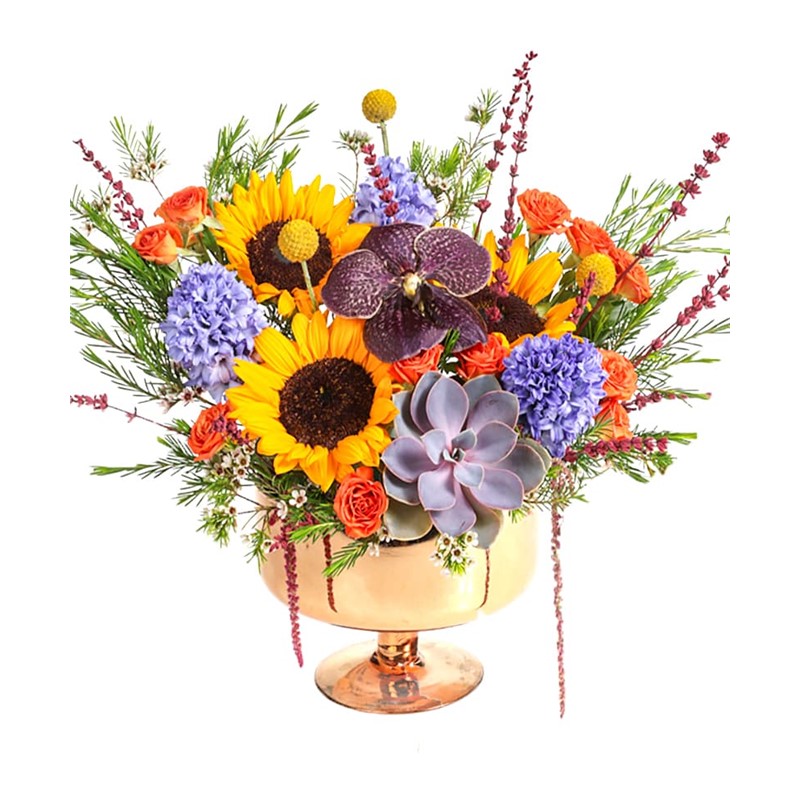 Sunflower Mix Hyacinth