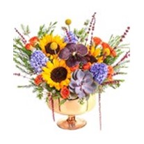 Sunflower Mix Hyacinth