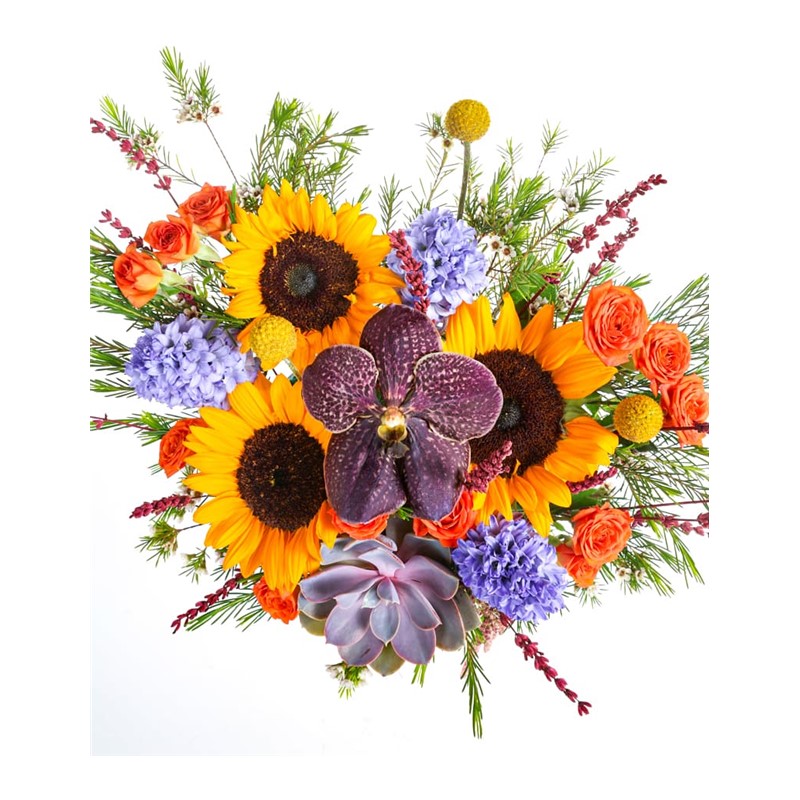Sunflower Mix Hyacinth