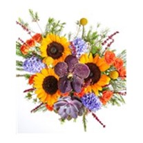 Sunflower Mix Hyacinth