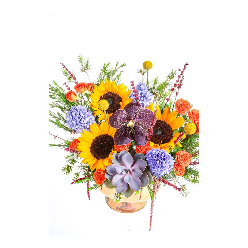 Sunflower Mix Hyacinth