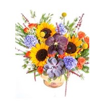 Sunflower Mix Hyacinth