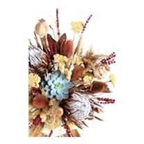 Royal Dried Flowers