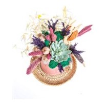 Mini Dried Flower
